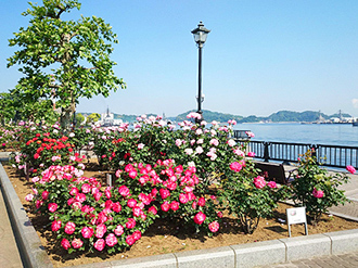 横須賀市ヴェルニー公園の契約社員 施設管理の求人情報イメージ6