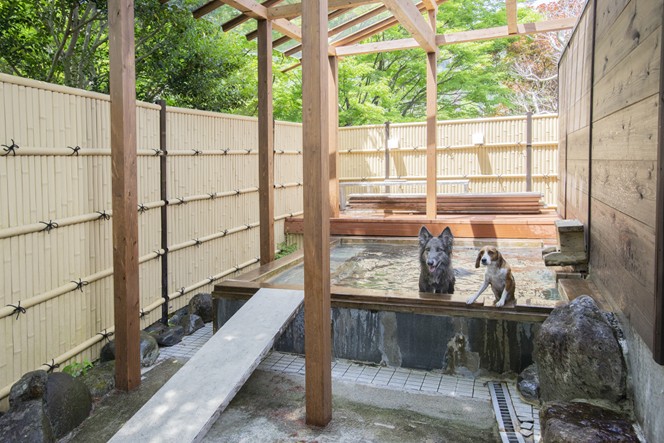 愛犬と楽しむ温泉旅館 　鬼怒川絆の正社員 宿泊予約 フロントスタッフの求人情報イメージ5