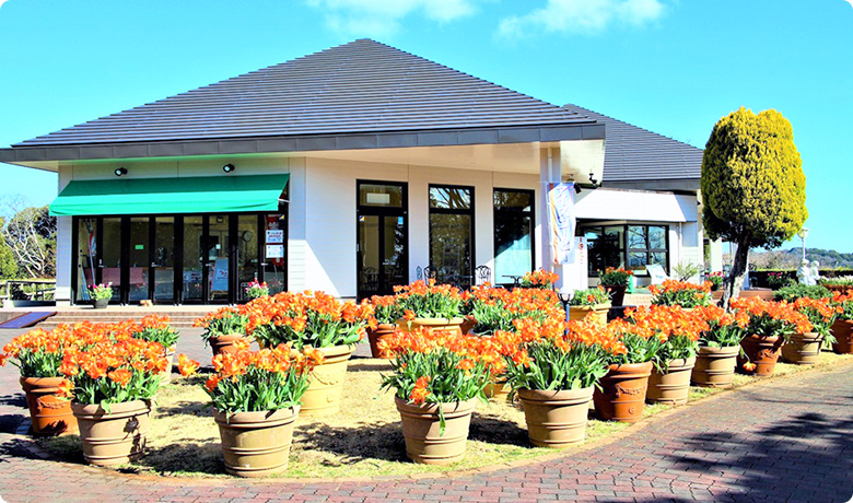 横須賀市　くりはま花の国 レストラン ロスマリネスの契約社員 レストラン 調理部門 一般企業のお仕事求人イメージ